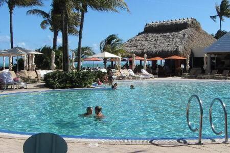 The Palms, Ocean View Studio Located At Ritz Carlton - Key Biscayne Miami Eksteriør billede